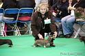 Crufts2011_2 1285